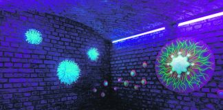 Unterwasserwelten im Alten Wartesaal