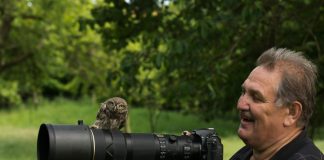 Nistkästen sind wichtig