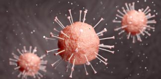 Vorsorgliche Quarantänen für eine Schulklasse und eine Kita-Gruppe