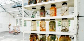 Motive „Mit Abstand“