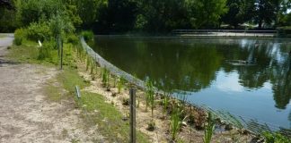 Vandalismus im Dorneburger Park