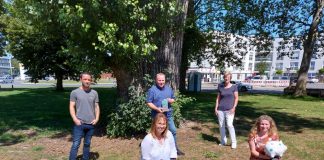 Erster Platz für Verein Vielfalt durch den Pharamakonzern Teva