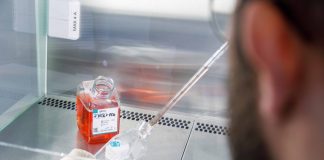 Forscher des Marien Hospital untersuchen Immunreaktion auf Covid-19