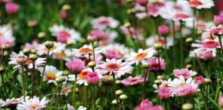 Aufruf zu mehr Achtsamkeit