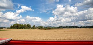 Fotostrecke Doppeldecker-Cabriobus