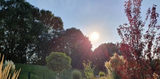 Nationalteam trainiert im Leistungsstützpunkt