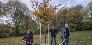 Ehrung mit Baum statt mit Blumen