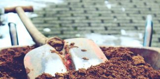 Sanierung eines Weges im Revierpark Gysenberg