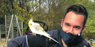 Polizeimeldungen aus Herne und Wanne-Eickel