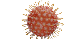 Corona: Stadt verschickt Briefe an über 80-Jährige