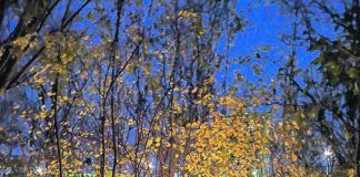 Aktionen auf dem Abenteuerspielplatz Hasenkamp