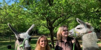 Wartesaal.TV – Der große Neujahrsempfang