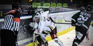 Auch Spiel zwei gegen die Black Dragons Erfurt geht verloren