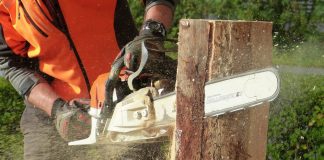 Rodungsarbeiten im Quartierpark Klosterstraße