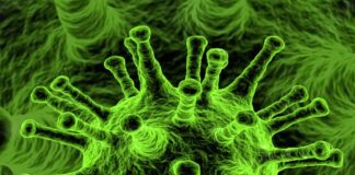 Corona: Neue Sonderimpfaktion am Fronleichnamstag