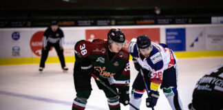 Eishockey: Zwei ziemlich beste Freunde für den Herner EV