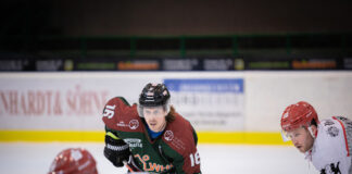 Eishockey: Ein Zugang und ein Abgang beim HEV