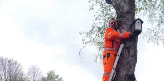 SEH: Nachhaltiger Wohnungsbau für Vögel