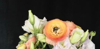 Coronazahlen sinken: EvK lockert Besuchsverbot