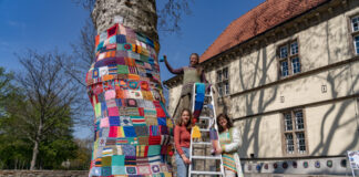Platane im Schloss-Innenhof umgarnt