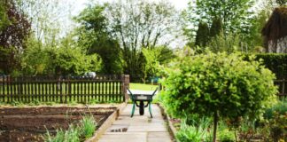 Auf neuem Weg Kleingartenanlage entdecken