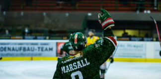 HEV: Jetzt kommen bissige „Piranhas“