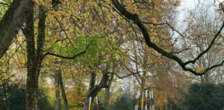 SPD: Müllsammelaktion in Eickel