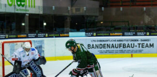 Herner EV: Heute Heimspiel gegen Dragons aus Thüringen