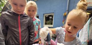 Bis 22. Juli in Herne: Ferienprogramm im Pantringshof