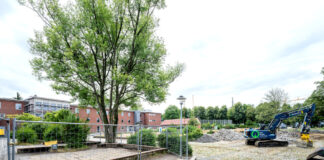 Neue Spielanlage für die Kolibri-Schule: Schulhof wird umgebaut