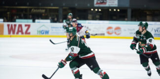 Eishockey: HEV erwartet nach Duisburg-Pleite heute um 18.30 Uhr Krefeld in der Hannibal-Arena