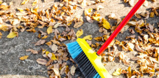 Entsorgung Herne – Gartenabfallaktion Herbst: Termine und Orte