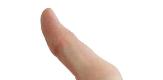 Herne: Führung durch den Skulpturenpark