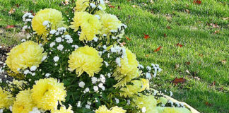 Gedenkstunde am Volkstrauertag in Herne