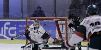 Eishockey: HEV zu Hause gegen Saale Bulls und dann auswärts in Hannover
