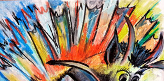 Ausstellung „Augen-Blicke“ im Schollbrockhaus