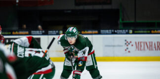 Eishockey in Herne: HEV tritt am Freitag in Hamburg an