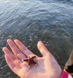 Herne: Tierschutz-Erlebnisferien für Kinder