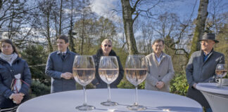 „Cabernet Gysenberg“: Weinanbau am Gysenberg – Mitmach-Projekt – den Klimawandel nutzen