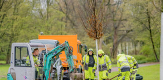 Bäume spenden für Herne: Über 50 Bäume wurden zuletzt gepflanzt!