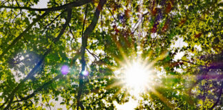 Sommer in Herne: „Cool bleiben, auch wenn es heiß wird“