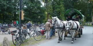 ADFC Herne: Radtour mit Erntedankfest