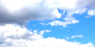 Trendsportart kam gut an: Aktionstag Bogenschießen beim Stadtsportbund